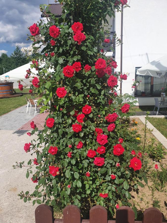 Pensiunea Ronicson Milostea Exterior photo